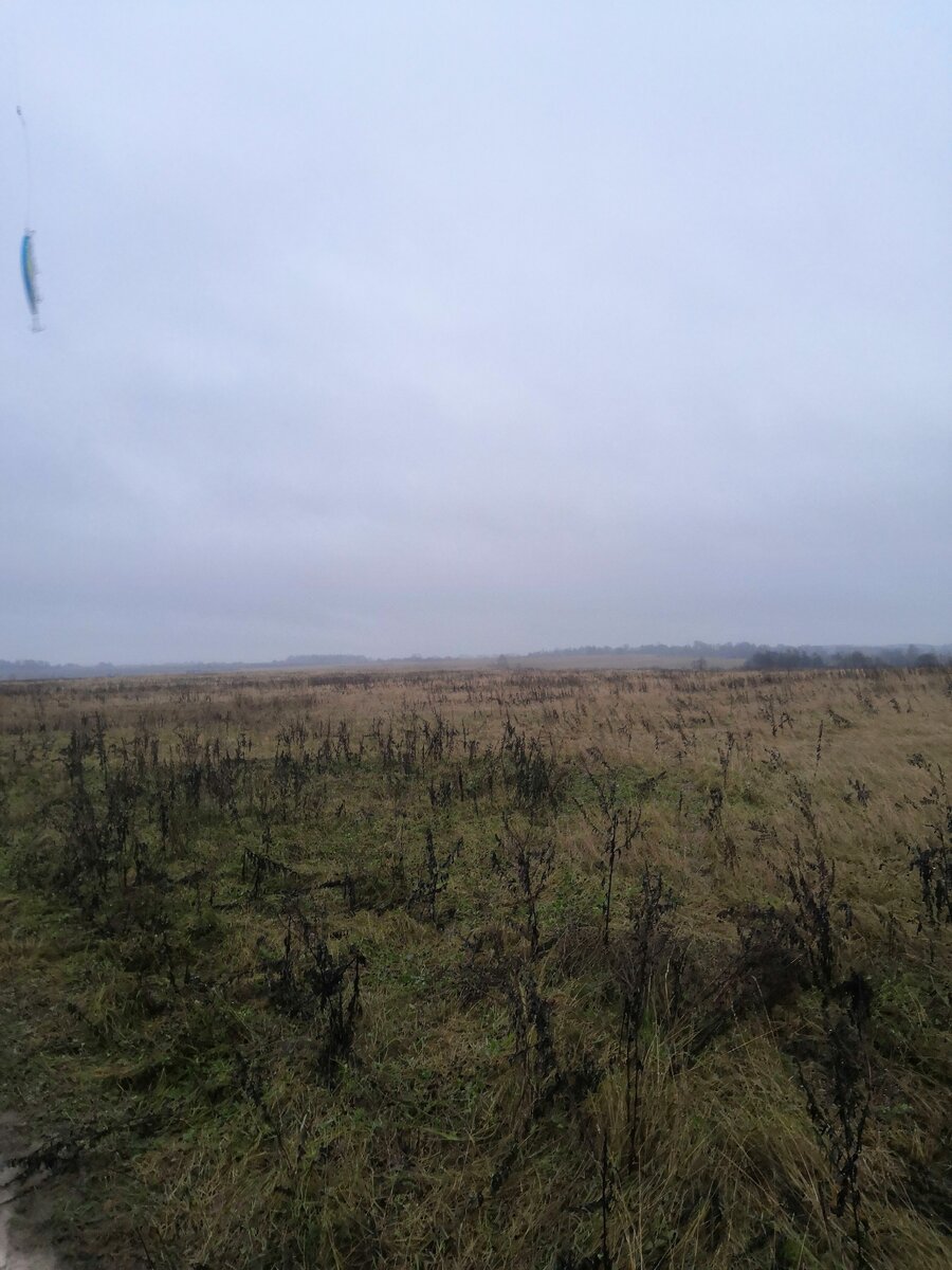 Личное фото 