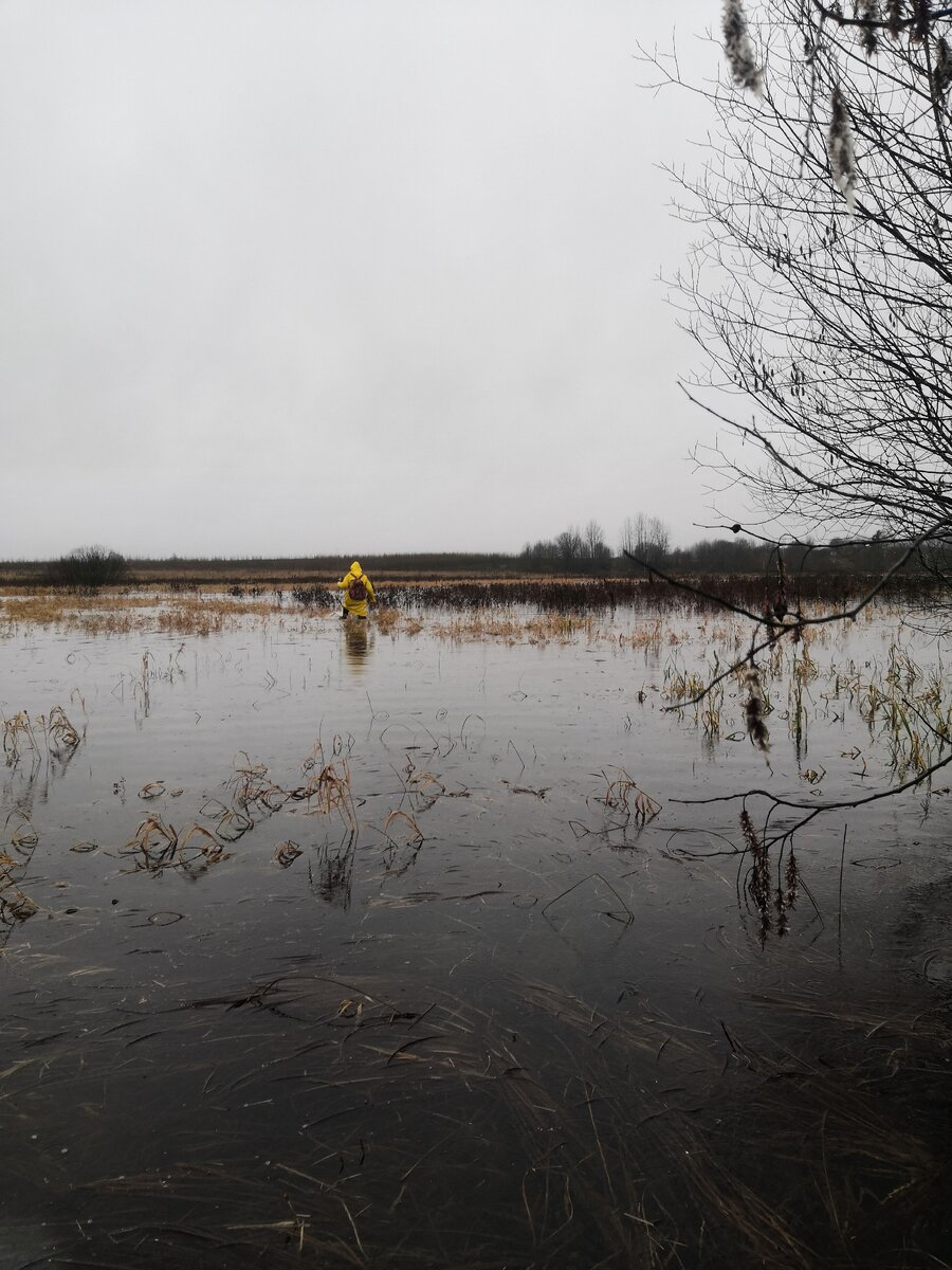 Личное фото. 