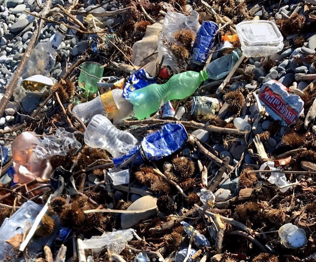 Побережье Чёрного моря, Батуми