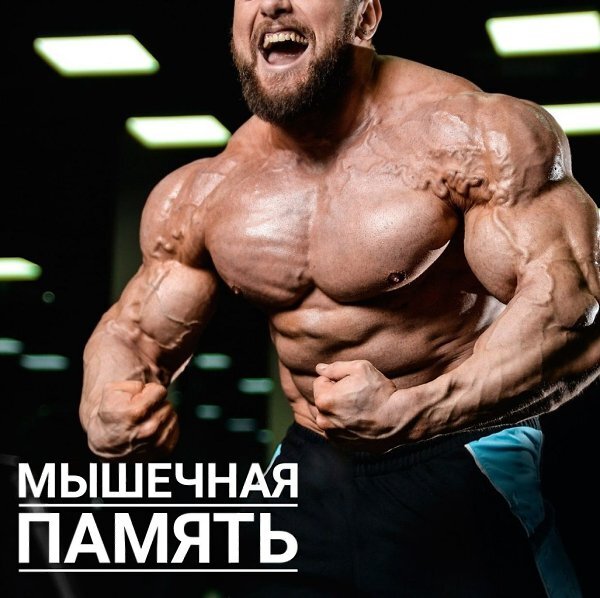 Существует ли мышечная память?