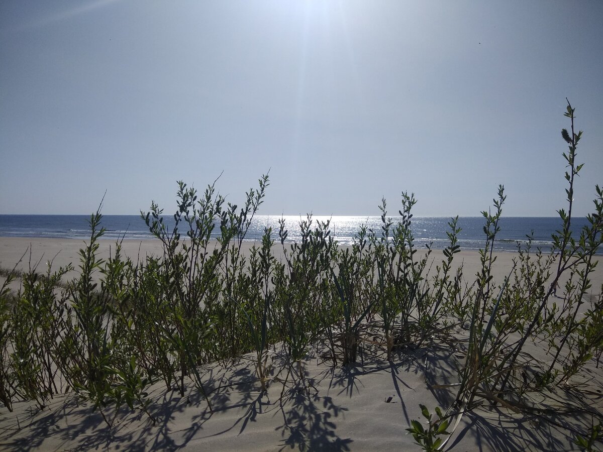 Пляж в Швентойи