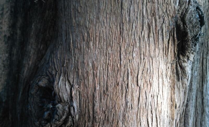 Автор ПУТНИК САНАЙ©