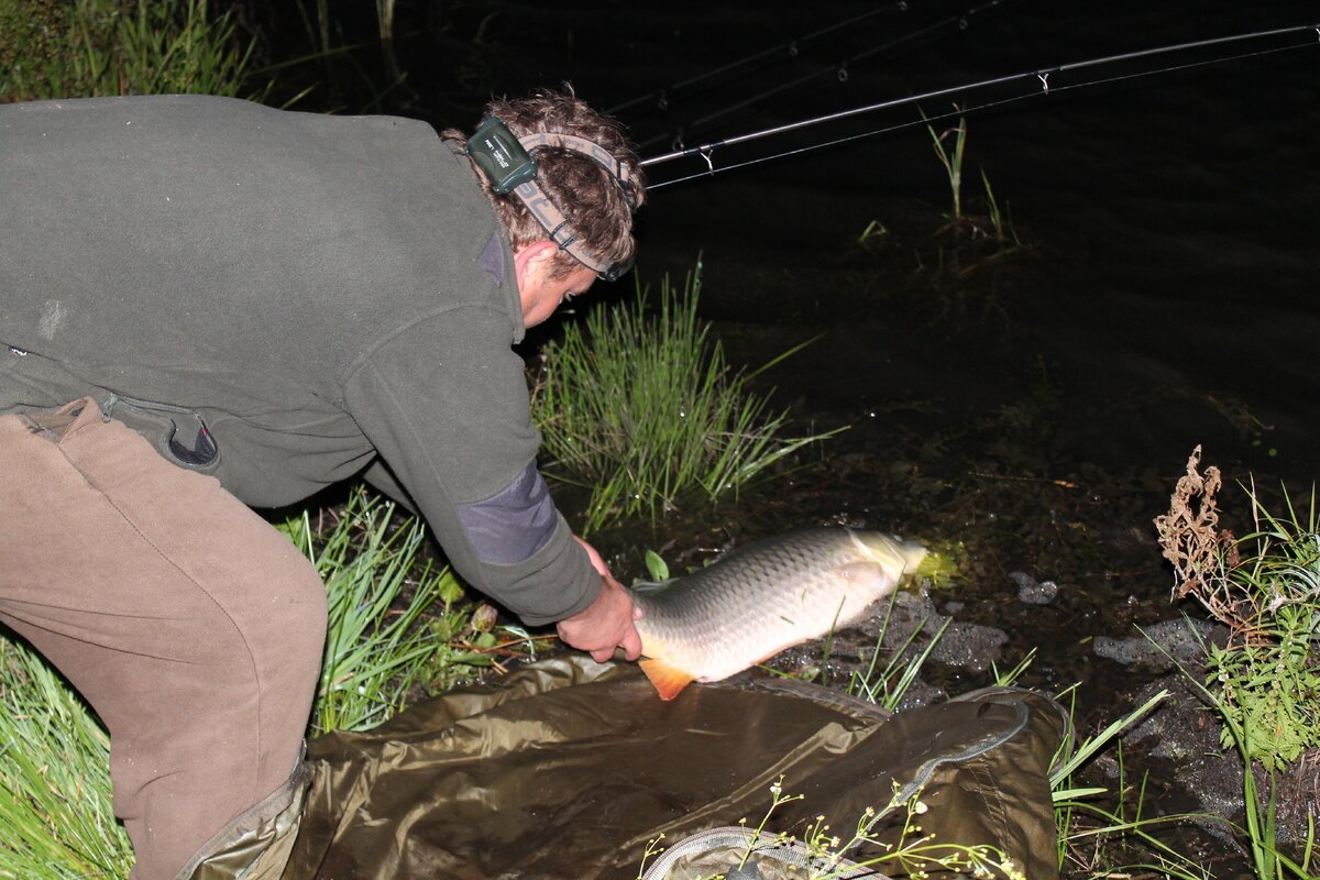 Автор фото Вадим Летюшов