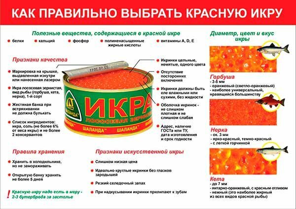 Как купить хорошую красную икру? Учимся отличать натуральный продукт от подделки