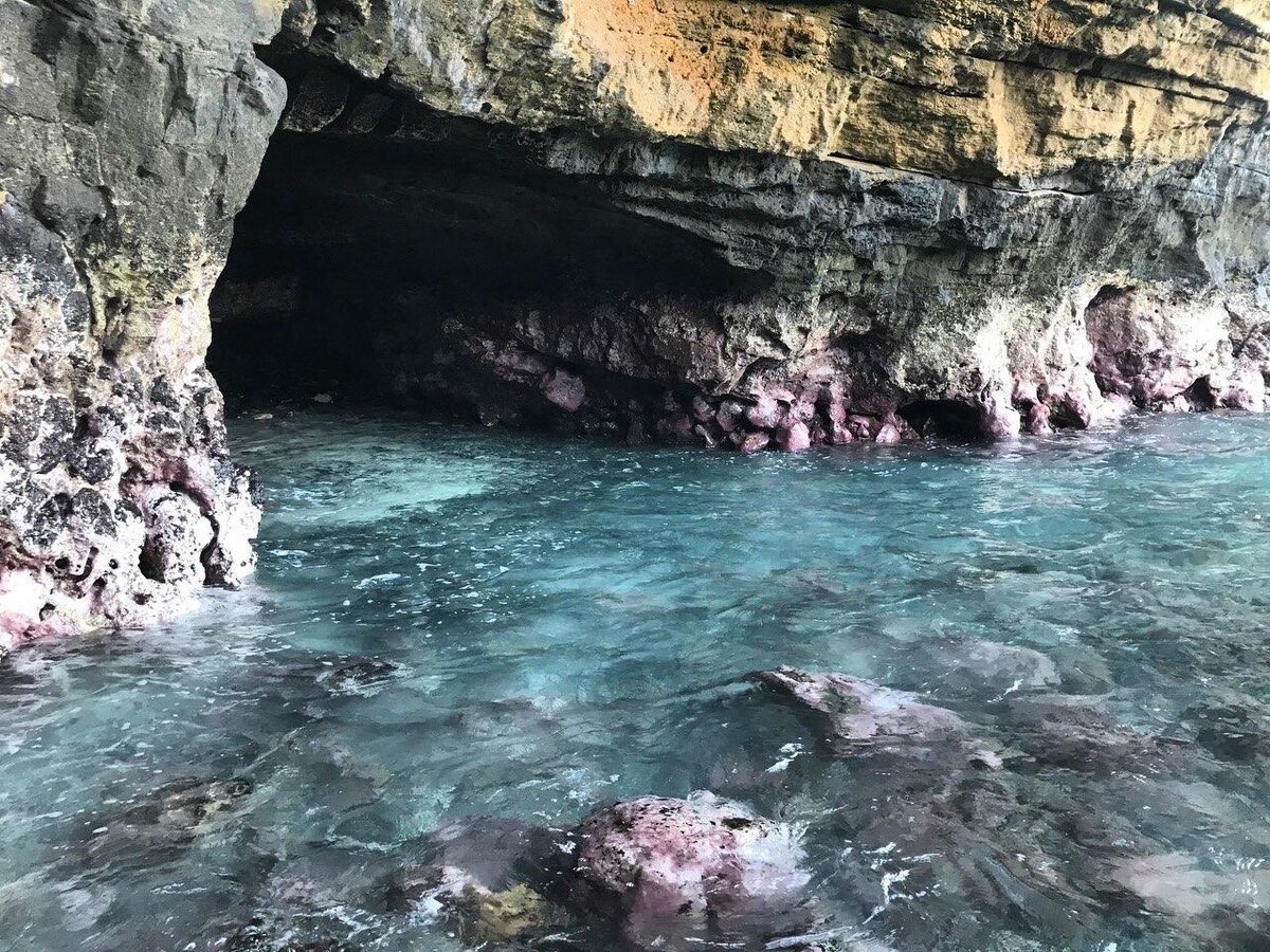 Только посмотрите на эти цвета!