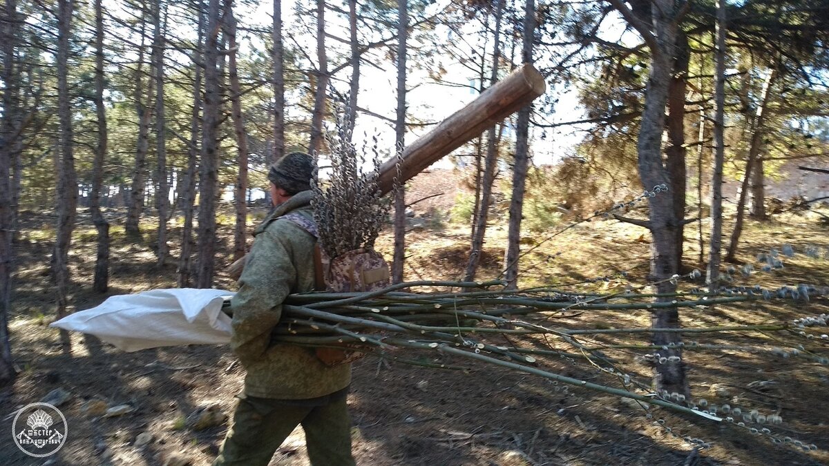 Решили с женой прогуляться по лесу. Вот так я  возвращался домой. 