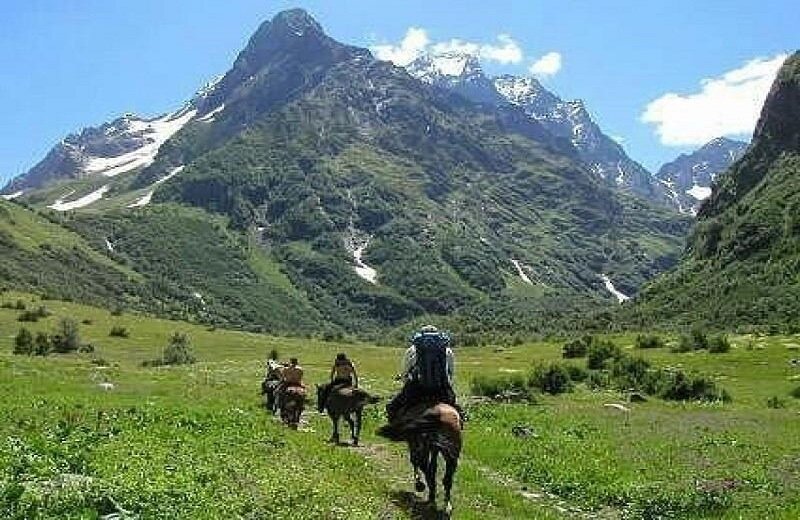 Приэльбрусье прогулки на лошадях