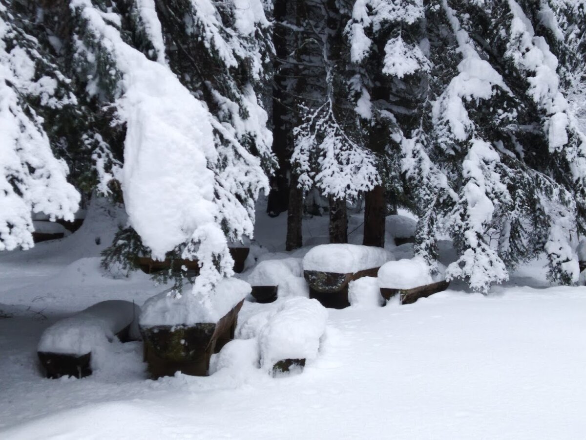 Шапки сугробов в местах для отдыха, это уже повыше в горах. Фотографировали телефоном, 19 января 2020 г.