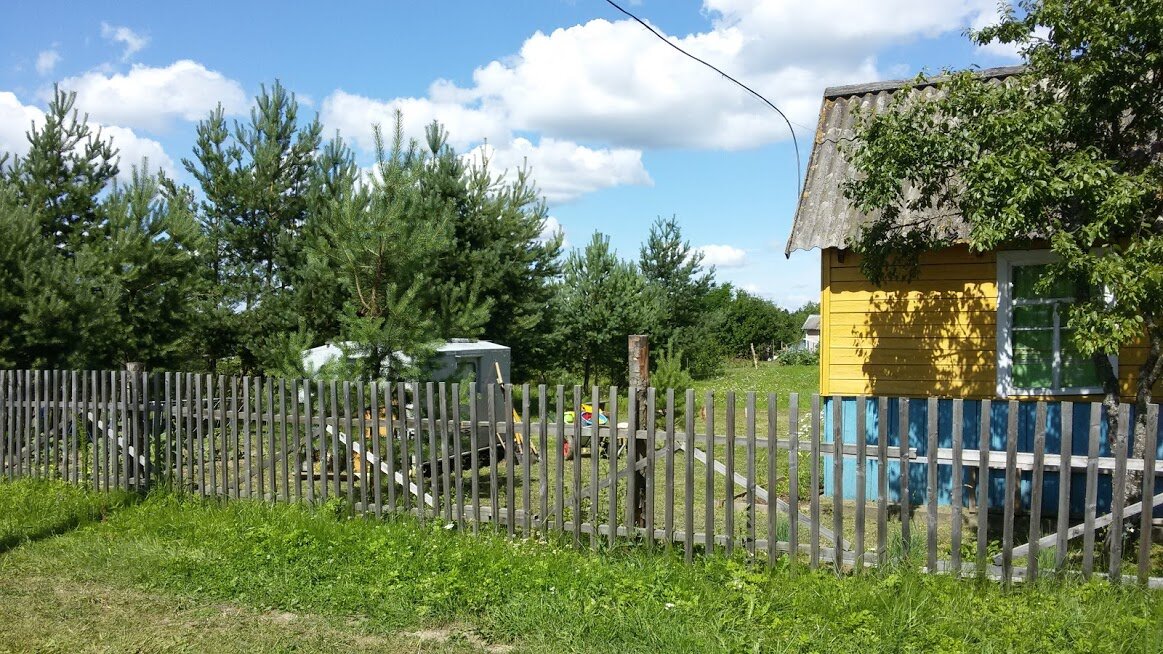 Личное фото автора.