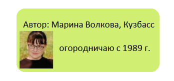 Вы читаете меня, я читаю вас. И пришла к очередному выводу. Многие огородники, видимо, только и делают с картошкой, что сажают, окучивают и выкапывают. А я написав статью: Зачем окучивать картошку?