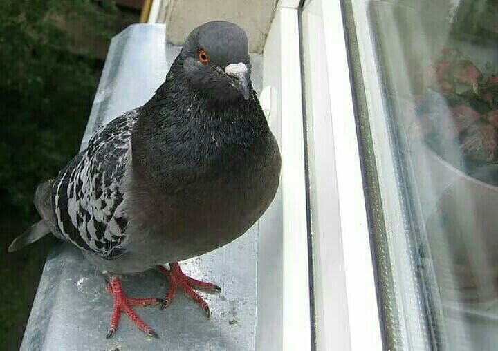  Фото взято из свободных источников