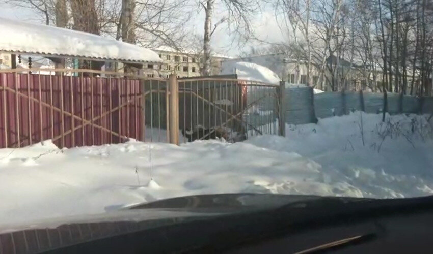 Кадр из видео: очевидец