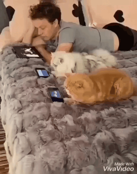 Всем весело!