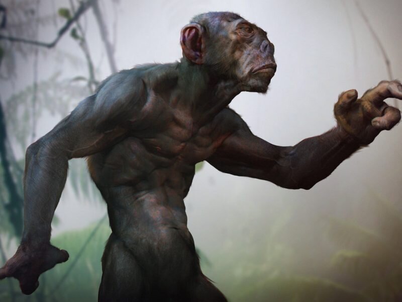 Человек обезьяна. Источник фото promistiku.ru