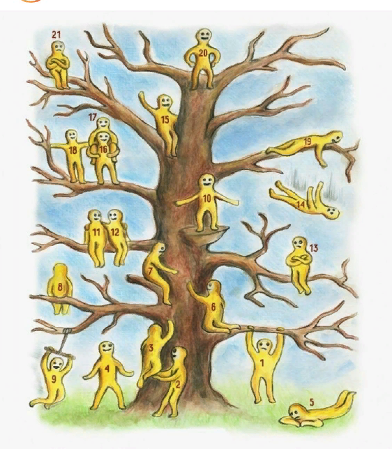 фото из открытых источников