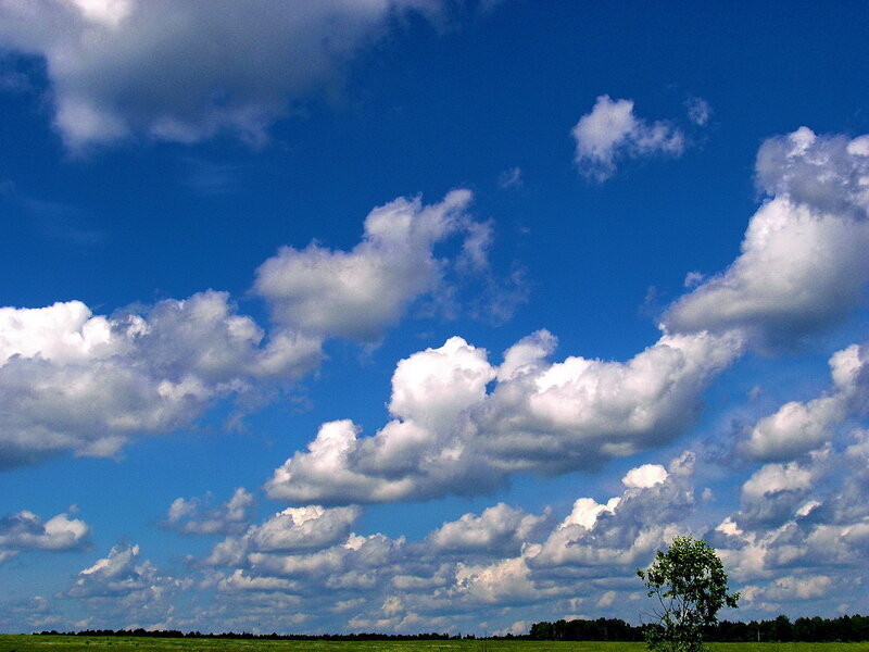 небо тучи. солнце в облаках. плывут густые облака. анимация облака плывут. облака анимация.