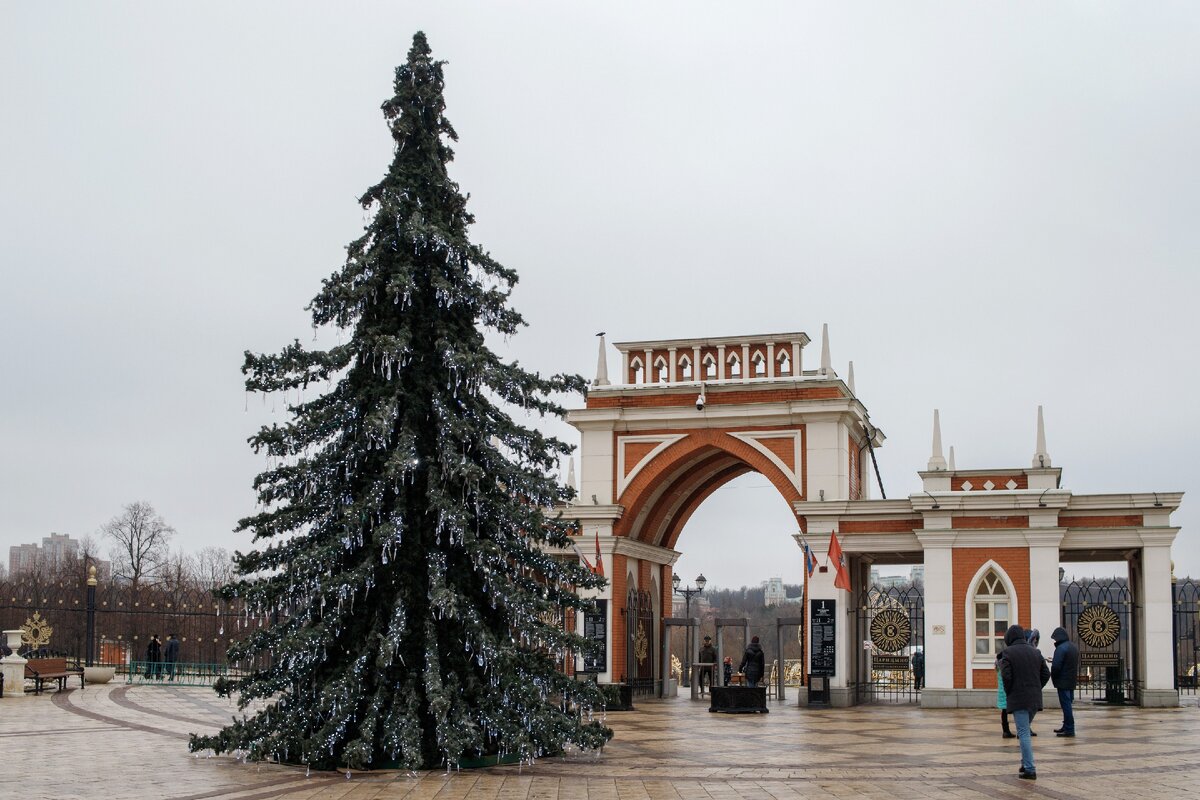 Царицыно 2024