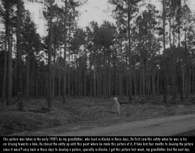 Снимок неизвестного существа.