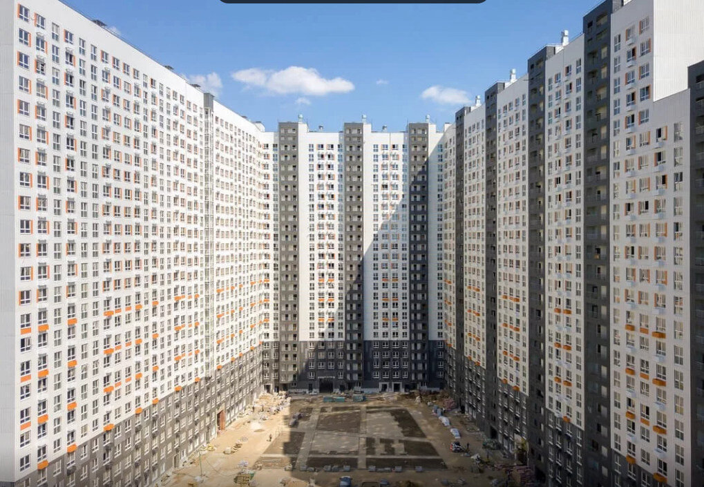 человейник из Яндекс картинок