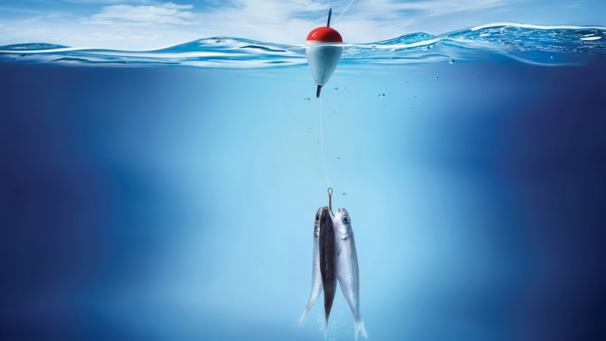 Из открытых источников