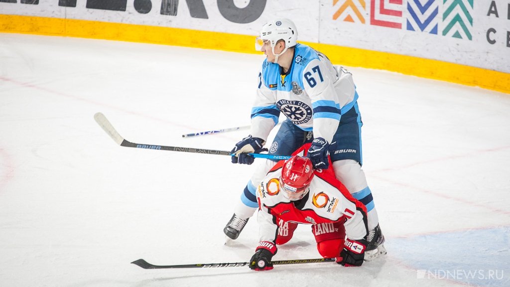 Фото с сайта Яндекс картинки