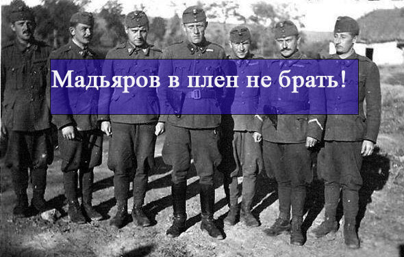 Не берите их в плен. Венгры в второй мировой в плену. Немецкие солдаты сдаются в плен 1945. Мадьяры в великую отечественную. Не берите их в плен.
