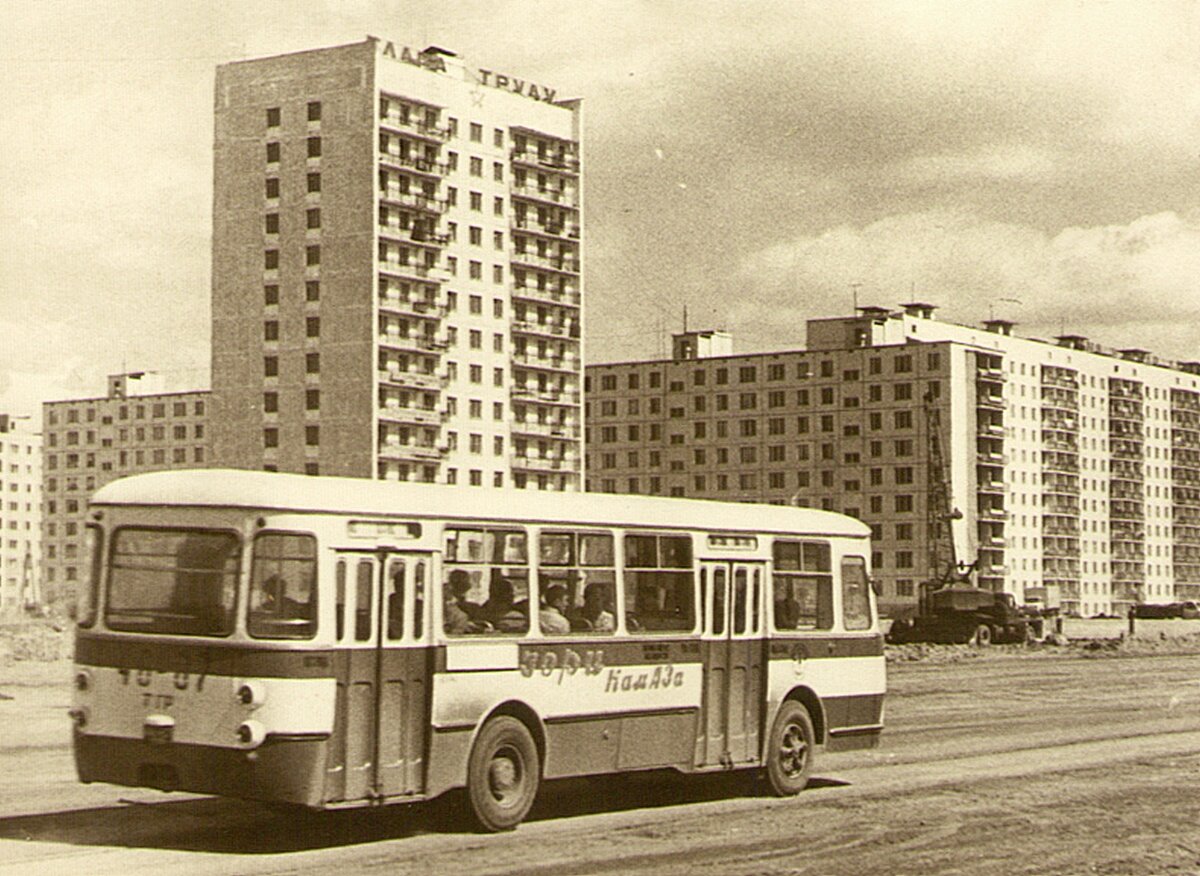 Фото из личного архива Людмилы  Ворониной 