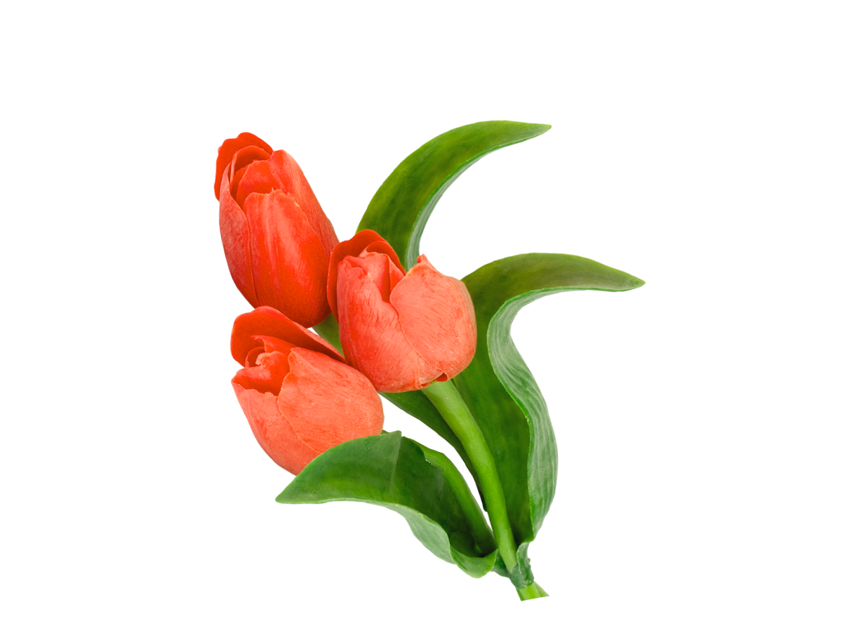 И цветочек не забудьте!