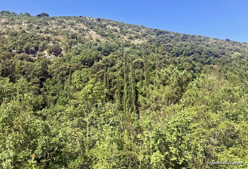 2. Эти холмы относительно невысокие, но они хорошо защищают местность от неприятных зимних морских ветров.