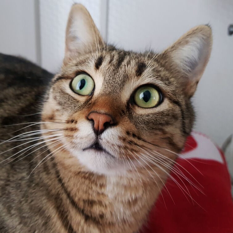 Фото из личного архива