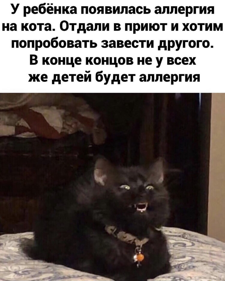 Прикол 2
