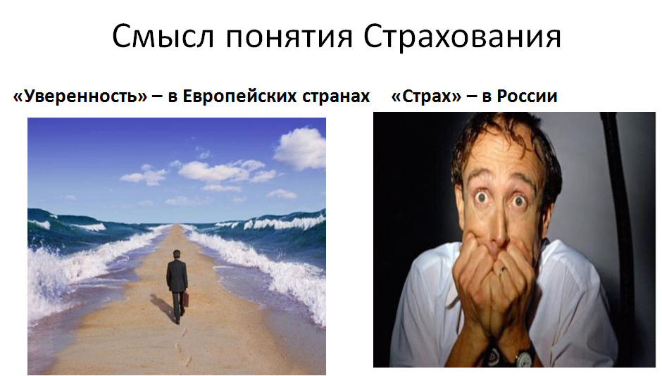 фото взято из открытых источников