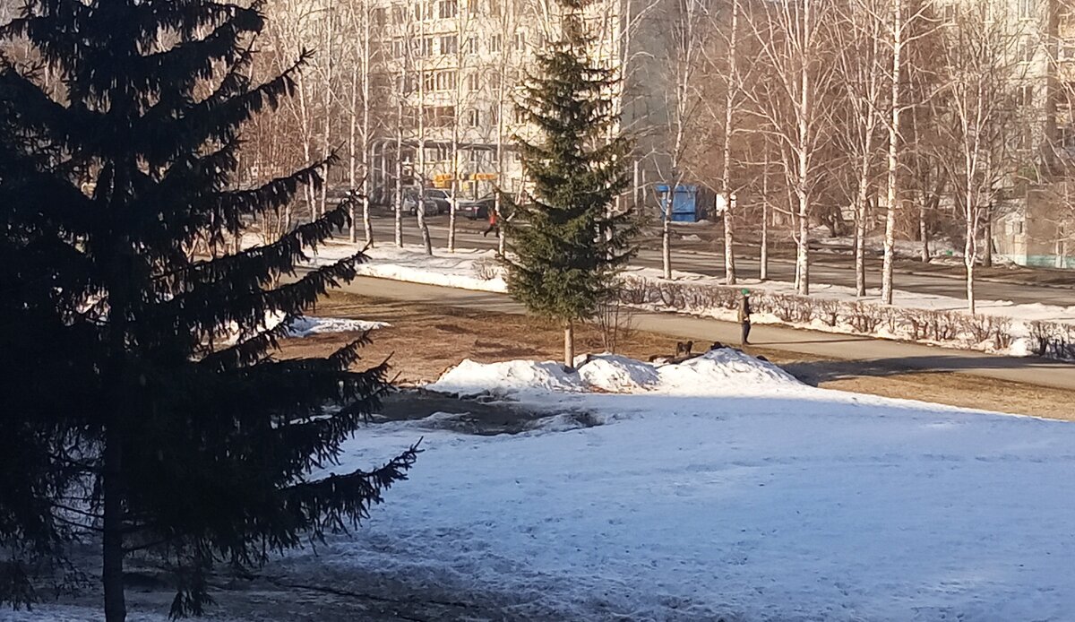 Редкий прохожий попал в кадр