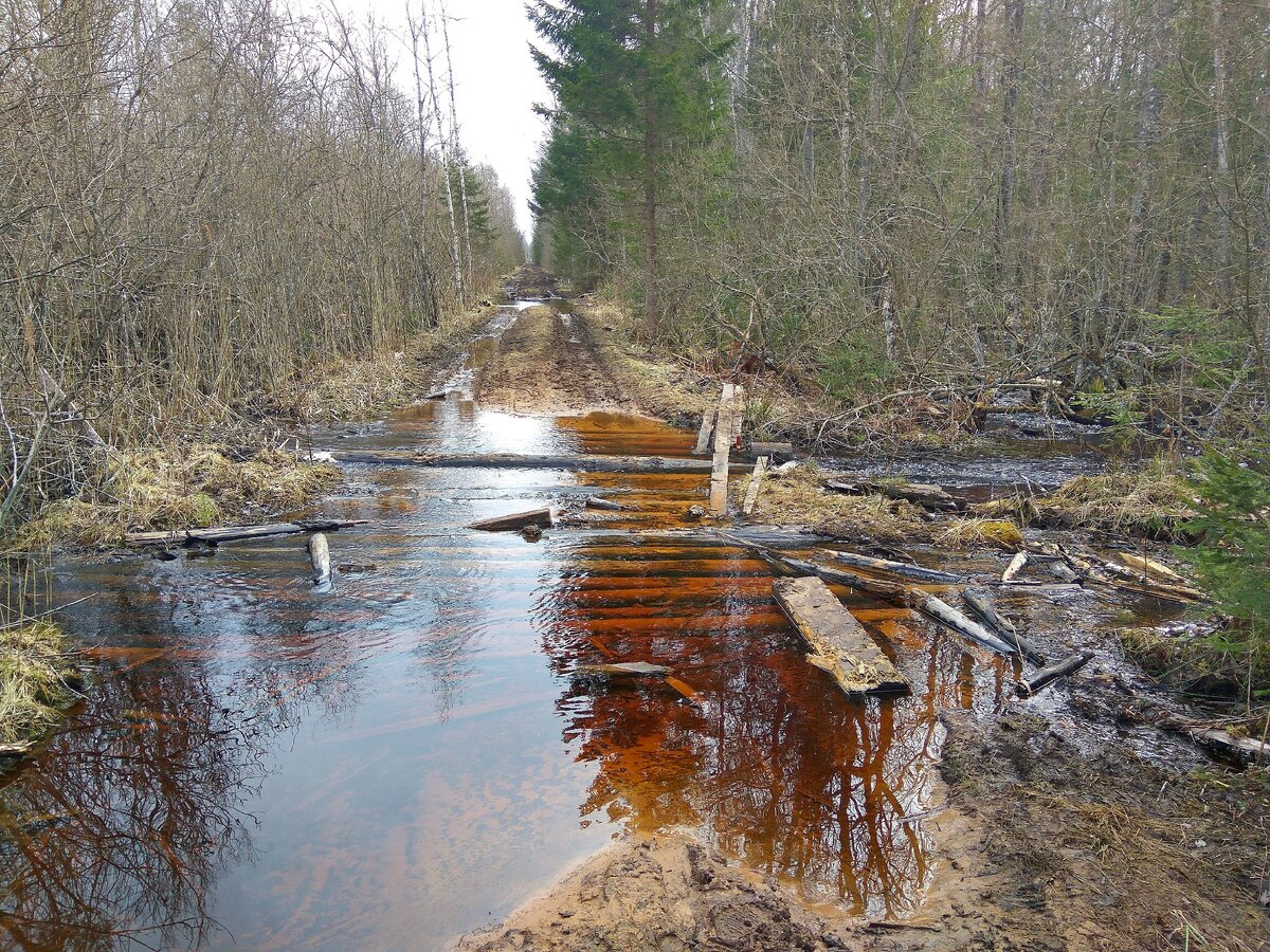 река сережа в нижегородской области