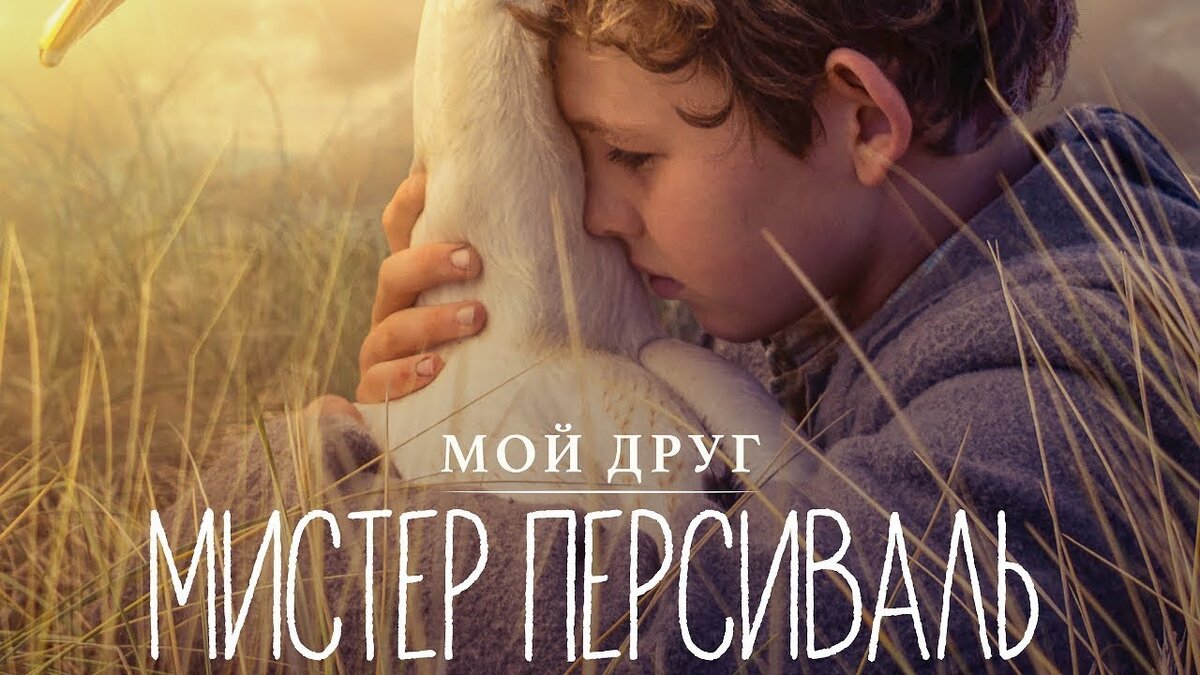 постер к фильму "Мой друг мистер Персиваль",источник Яндекс.Картинки.