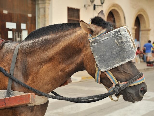 Ну а нам-то, людям, они зачем?