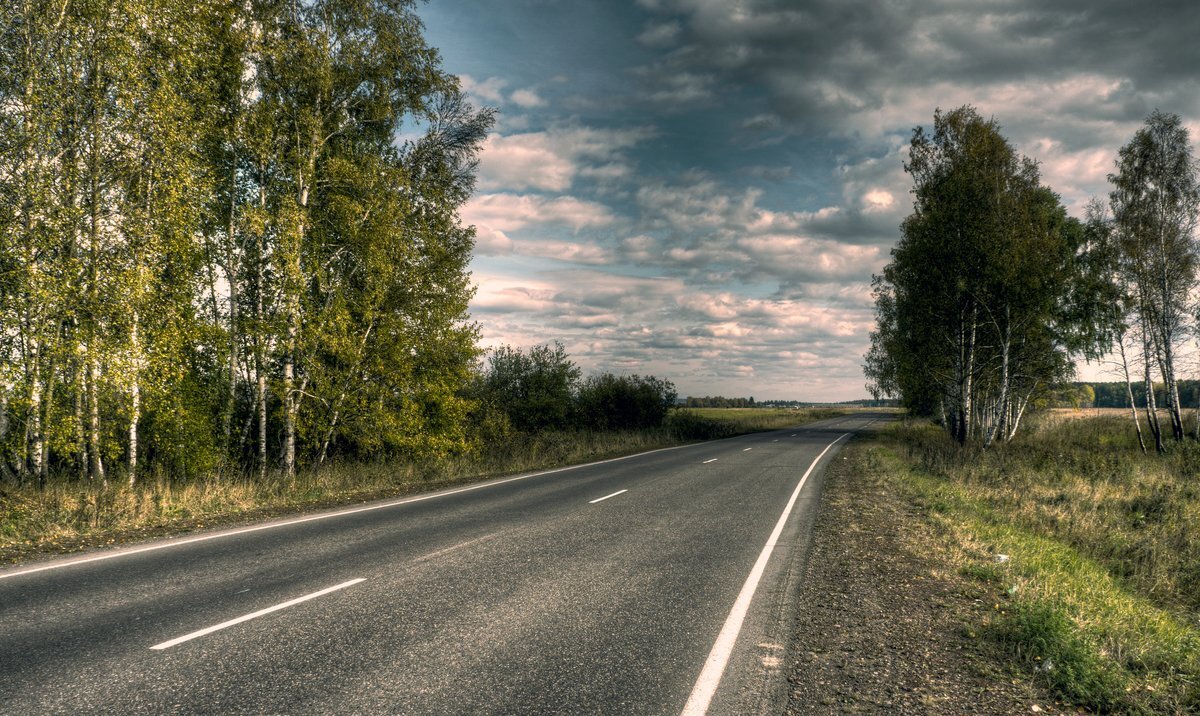 Песня обочина слушать. Обочина шоссе Березовая роща. Летняя дорога. Дорога летом. Березы вдоль дороги.