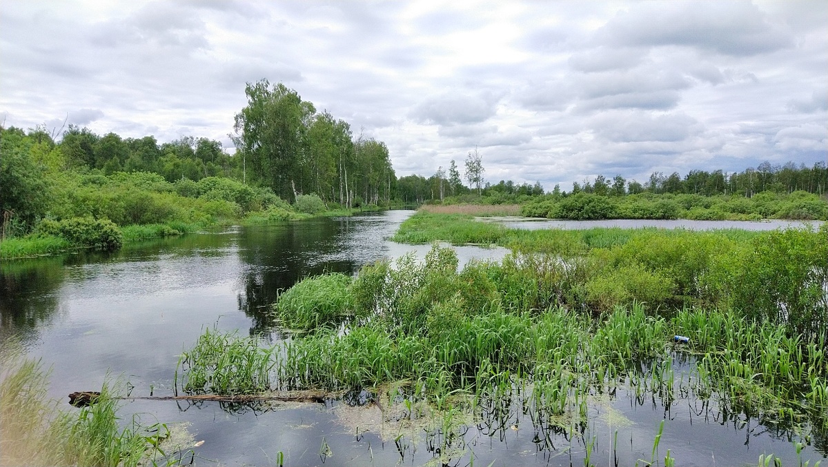 вот так красиво разлилась трубочка после дождей.. 