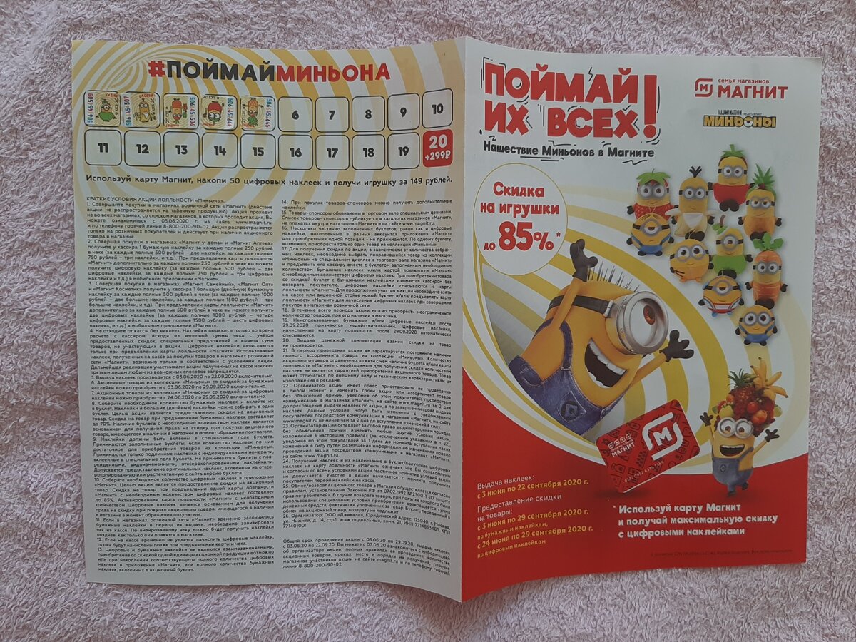 Личное фото автора.