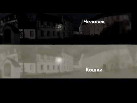Почему видят в темноте. Почему видят в темноте