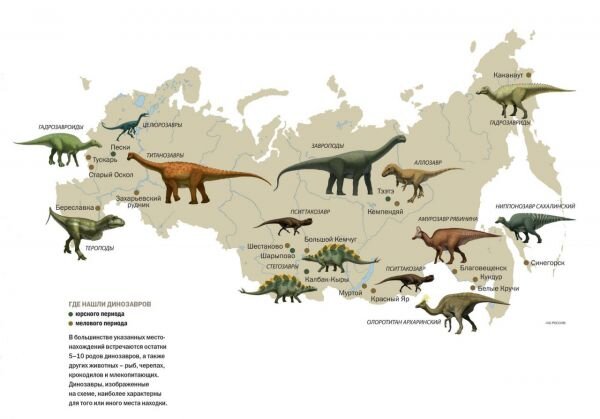  Целое столетие российские динозавры играли в прятки с учёными. Кто победил в этой увлекательной игре?-2