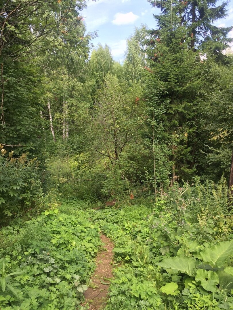 Тропинка на пляж  Фото автора.