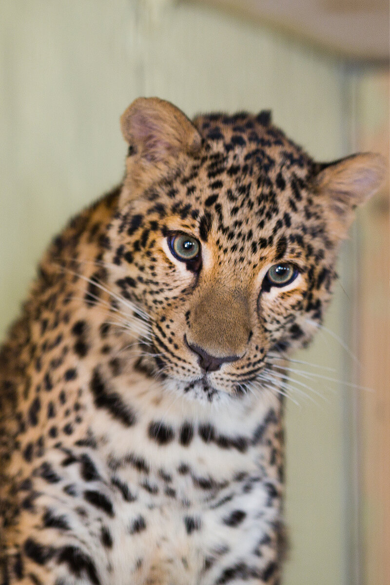 Фото Юлии Шведовой