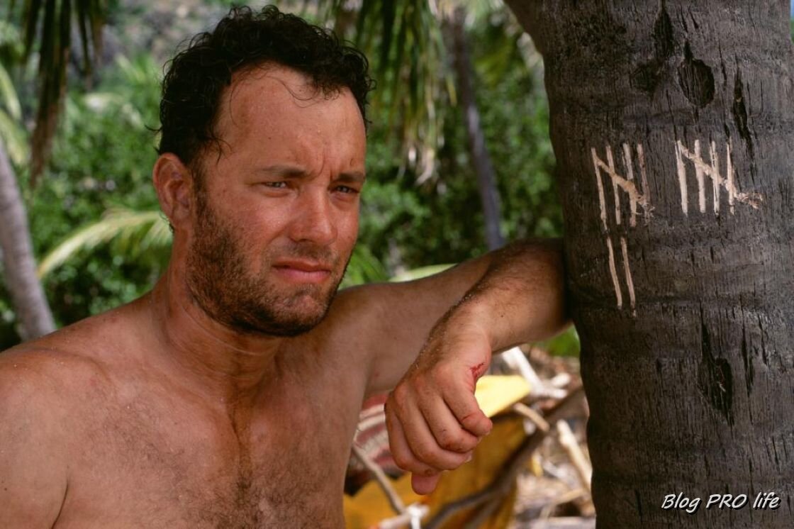 Рейтинг 8.3, 2001 год