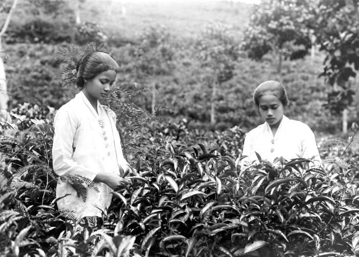 Так выглядели сунданки около 30х годов 20го века