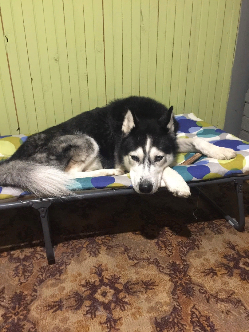 А воля была так близко... из личного архива.