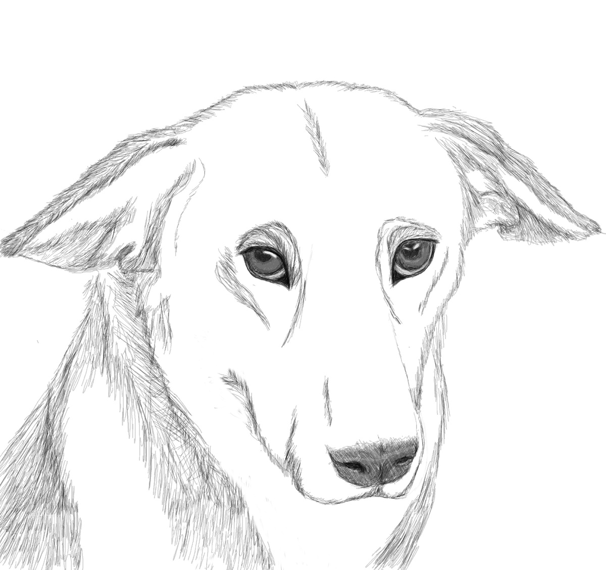 Учитесь у Платоши, он умеет обижаться правильно. Руки сами за вкусняшкой тянутся.