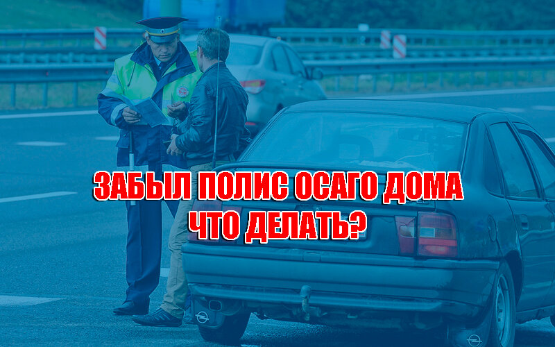 Что делать, если забыл полис ОСАГО