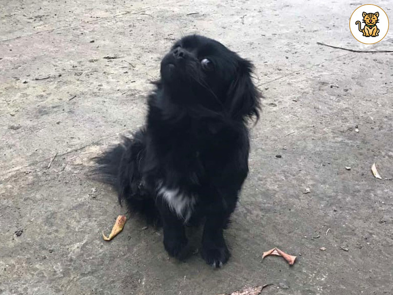 Тея позирует