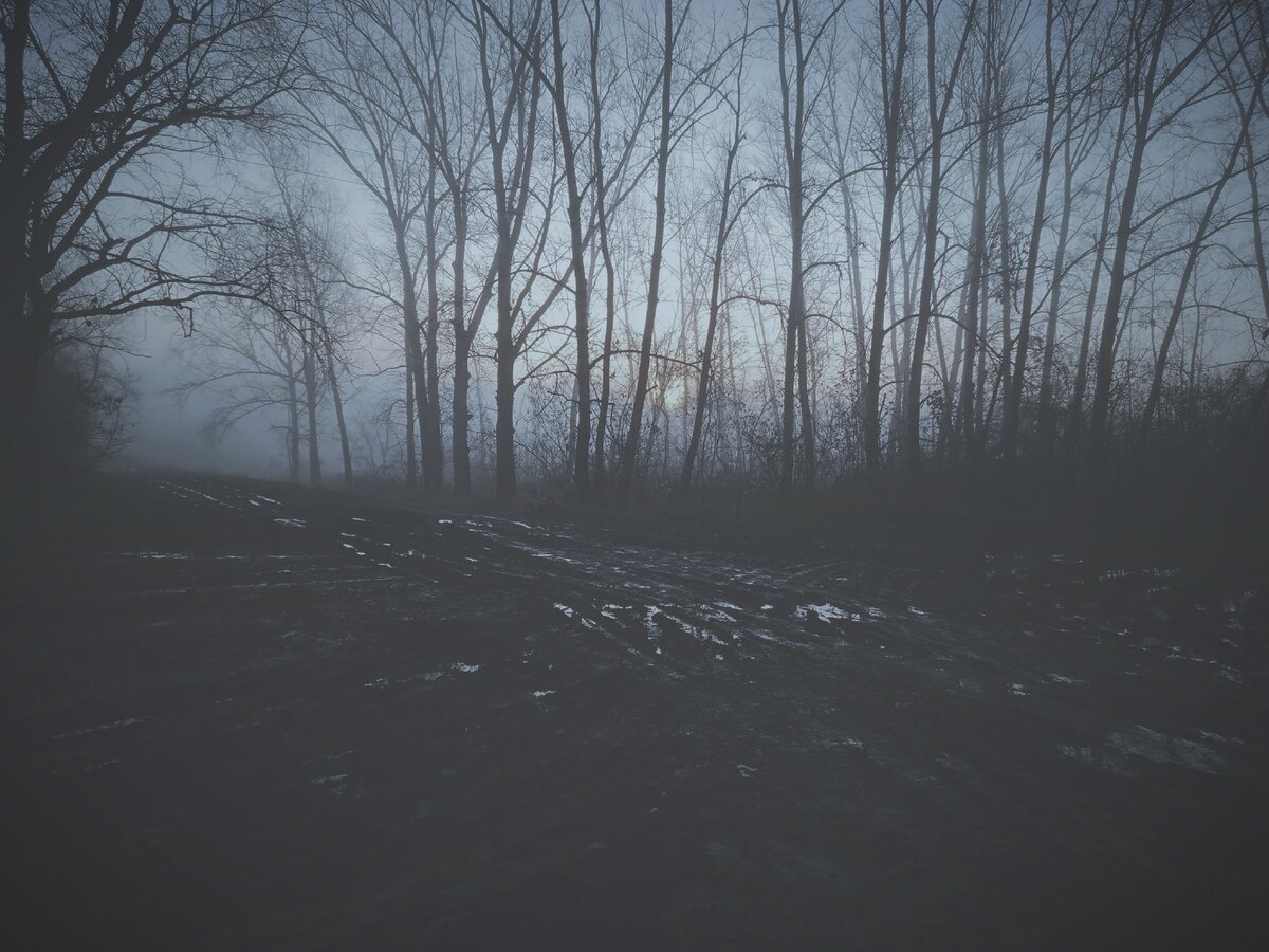 Однажды мне позвонил неизвестный номер и , сняв трубку ...